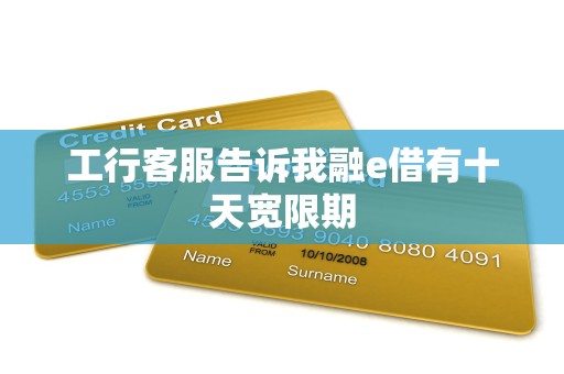 工行客服告诉我融e借有十天宽限期
