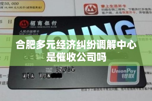 合肥多元经济纠纷调解中心是催收公司吗