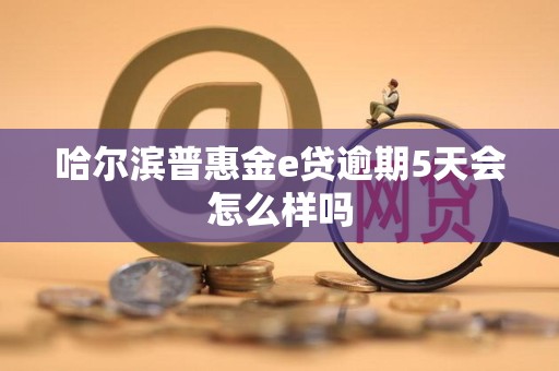 哈尔滨普惠金e贷逾期5天会怎么样吗 哈尔滨普惠金e贷逾期5天会怎么样吗