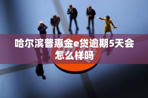 哈尔滨普惠金e贷逾期5天会怎么样吗 哈尔滨普惠金e贷逾期5天会怎么样吗