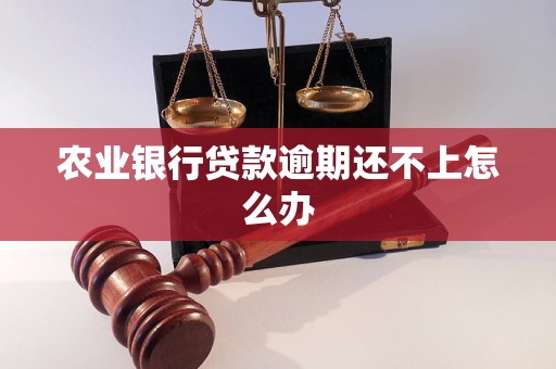 农业银行贷款逾期还不上怎么办 农业银行贷款逾期还不上怎么办