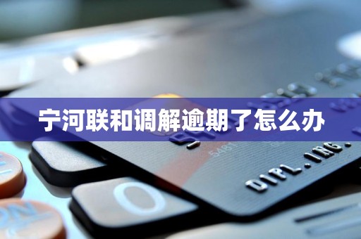 宁河联和调解逾期了怎么办