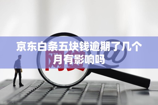 京东白条五块钱逾期了几个月有影响吗