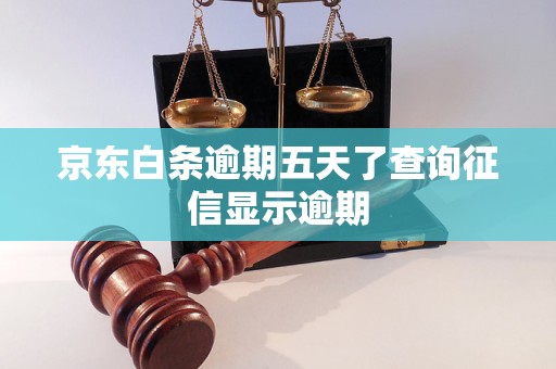 京东白条逾期五天了查询征信显示逾期