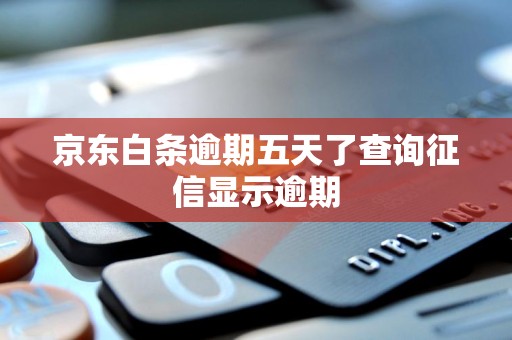 京东白条逾期五天了查询征信显示逾期