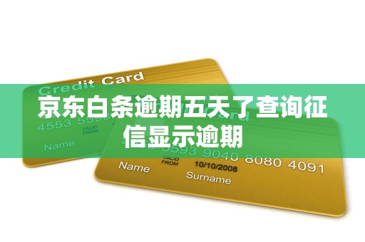京东白条逾期五天了查询征信显示逾期