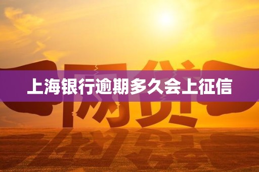 上海银行逾期多久会上征信