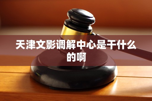 天津文影调解中心是干什么的啊 天津文影调解中心是干什么的啊