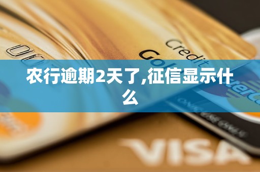 农行逾期2天了,征信显示什么