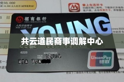 共云道民商事调解中心 共云道民商事调解中心