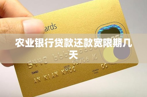 农业银行贷款还款宽限期几天