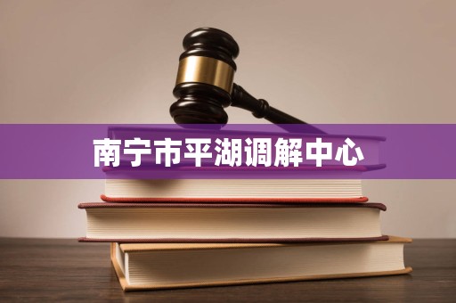 南宁市平湖调解中心 南宁市平湖调解中心