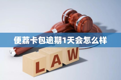 便荔卡包逾期1天会怎么样 便荔卡包逾期1天会怎么样