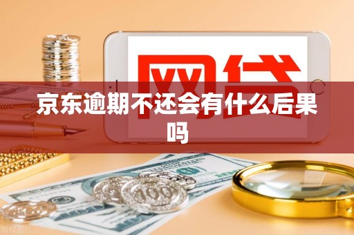 京东逾期不还会有什么后果吗 京东逾期不还会有什么后果吗