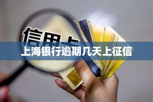 上海银行逾期几天上征信