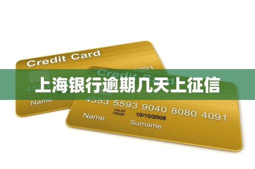 上海银行逾期几天上征信