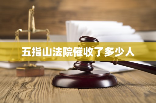 五指山法院催收了多少人