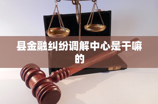 县金融纠纷调解中心是干嘛的