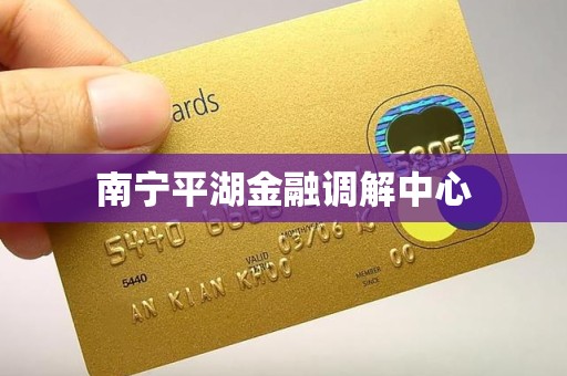 南宁平湖金融调解中心 南宁平湖金融调解中心