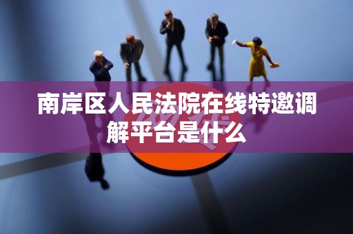 南岸区人民法院在线特邀调解平台是什么