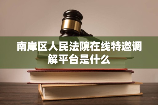 南岸区人民法院在线特邀调解平台是什么