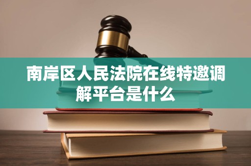 南岸区人民法院在线特邀调解平台是什么