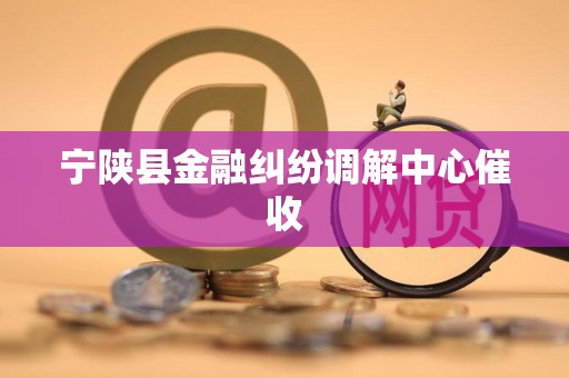 宁陕县金融纠纷调解中心催收