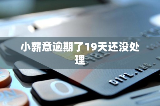 小薪意逾期了19天还没处理 小薪意逾期了19天还没处理