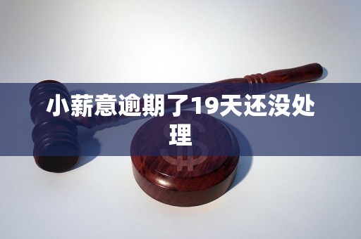 小薪意逾期了19天还没处理 小薪意逾期了19天还没处理
