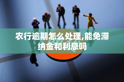 农行逾期怎么处理,能免滞纳金和利息吗