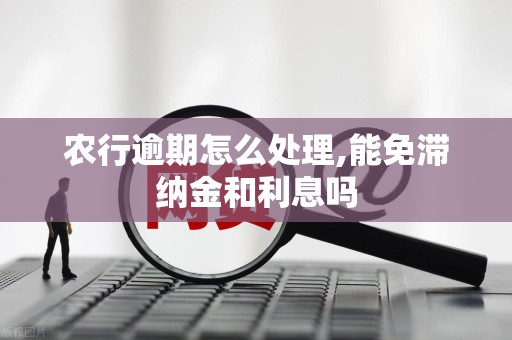 农行逾期怎么处理,能免滞纳金和利息吗