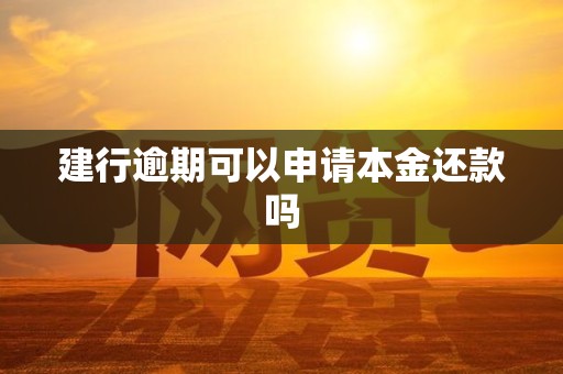 建行逾期可以申请本金还款吗