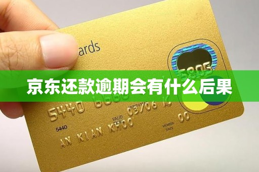 京东还款逾期会有什么后果