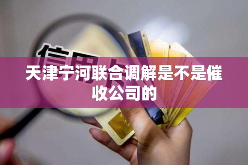 天津宁河联合调解是不是催收公司的