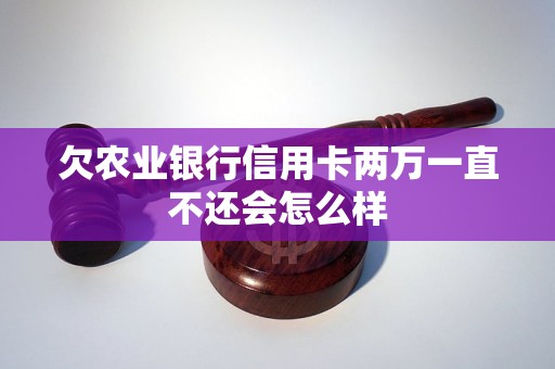 欠农业银行信用卡两万一直不还会怎么样