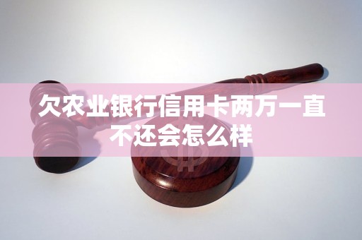 欠农业银行信用卡两万一直不还会怎么样