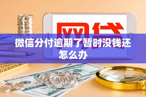 微信分付逾期了暂时没钱还怎么办