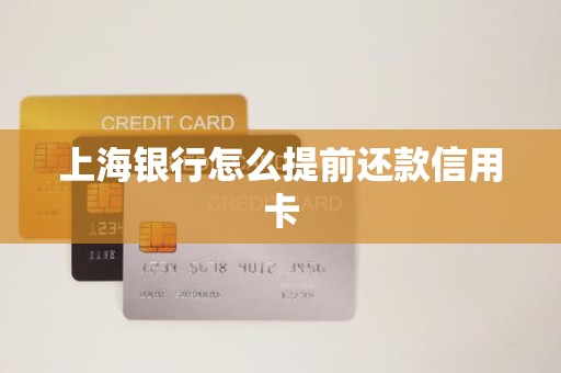 上海银行怎么提前还款信用卡