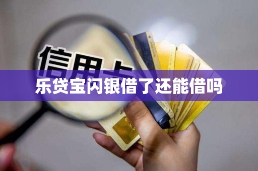 乐贷宝闪银借了还能借吗