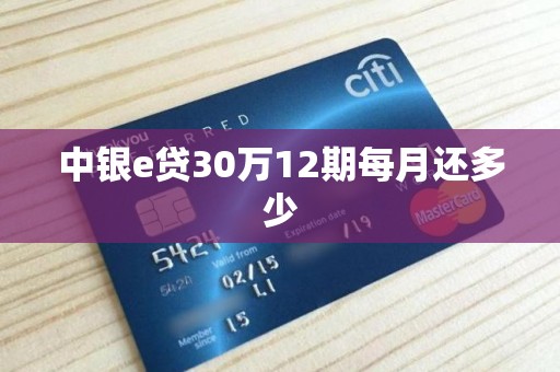 中银e贷30万12期每月还多少 中银e贷30万12期每月还多少