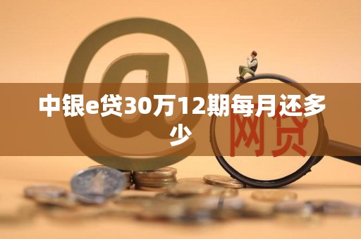 中银e贷30万12期每月还多少 中银e贷30万12期每月还多少