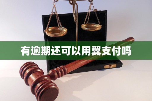 有逾期还可以用翼支付吗 有逾期还可以用翼支付吗
