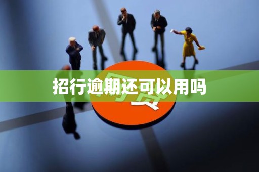 招行逾期还可以用吗