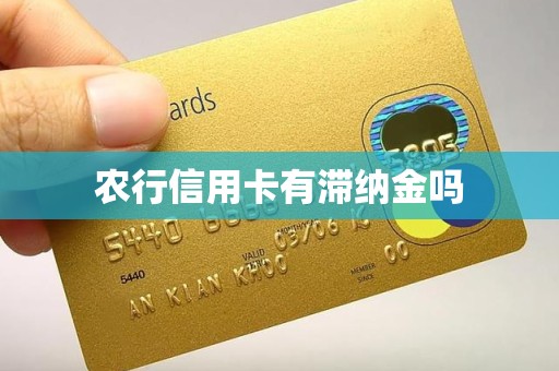 农行信用卡有滞纳金吗
