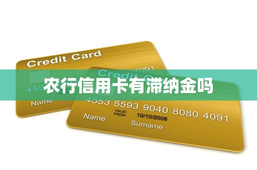 农行信用卡有滞纳金吗