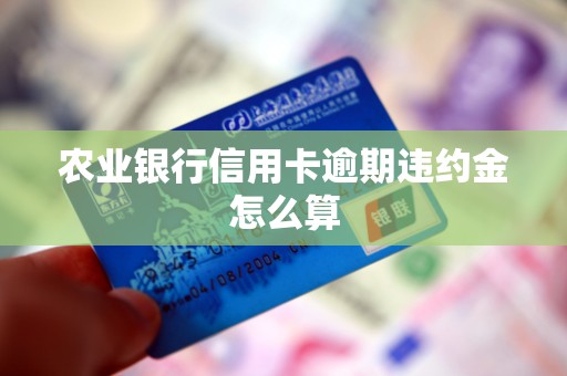 农业银行信用卡逾期违约金怎么算