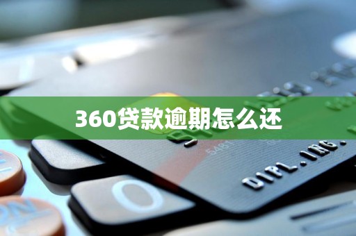 360贷款逾期怎么还