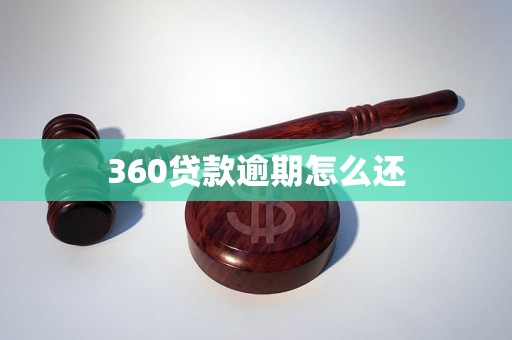 360贷款逾期怎么还