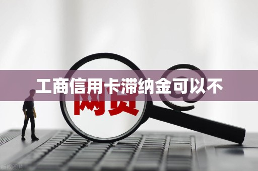 工商信用卡滞纳金可以不 工商信用卡滞纳金可以不