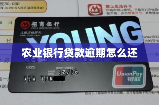 农业银行贷款逾期怎么还